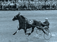 Bret Hanover